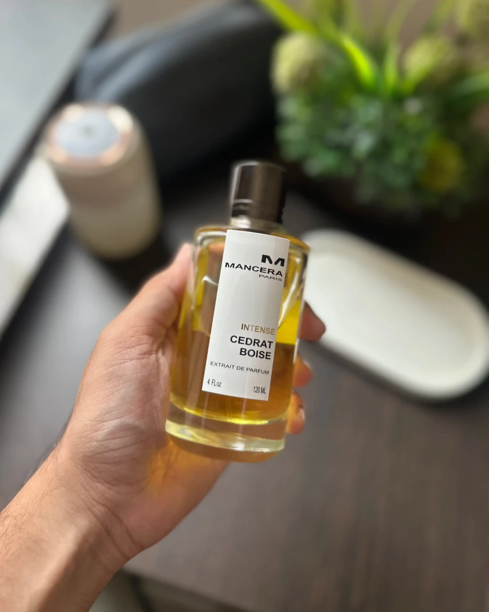 Mancera Cedrat boise EDP