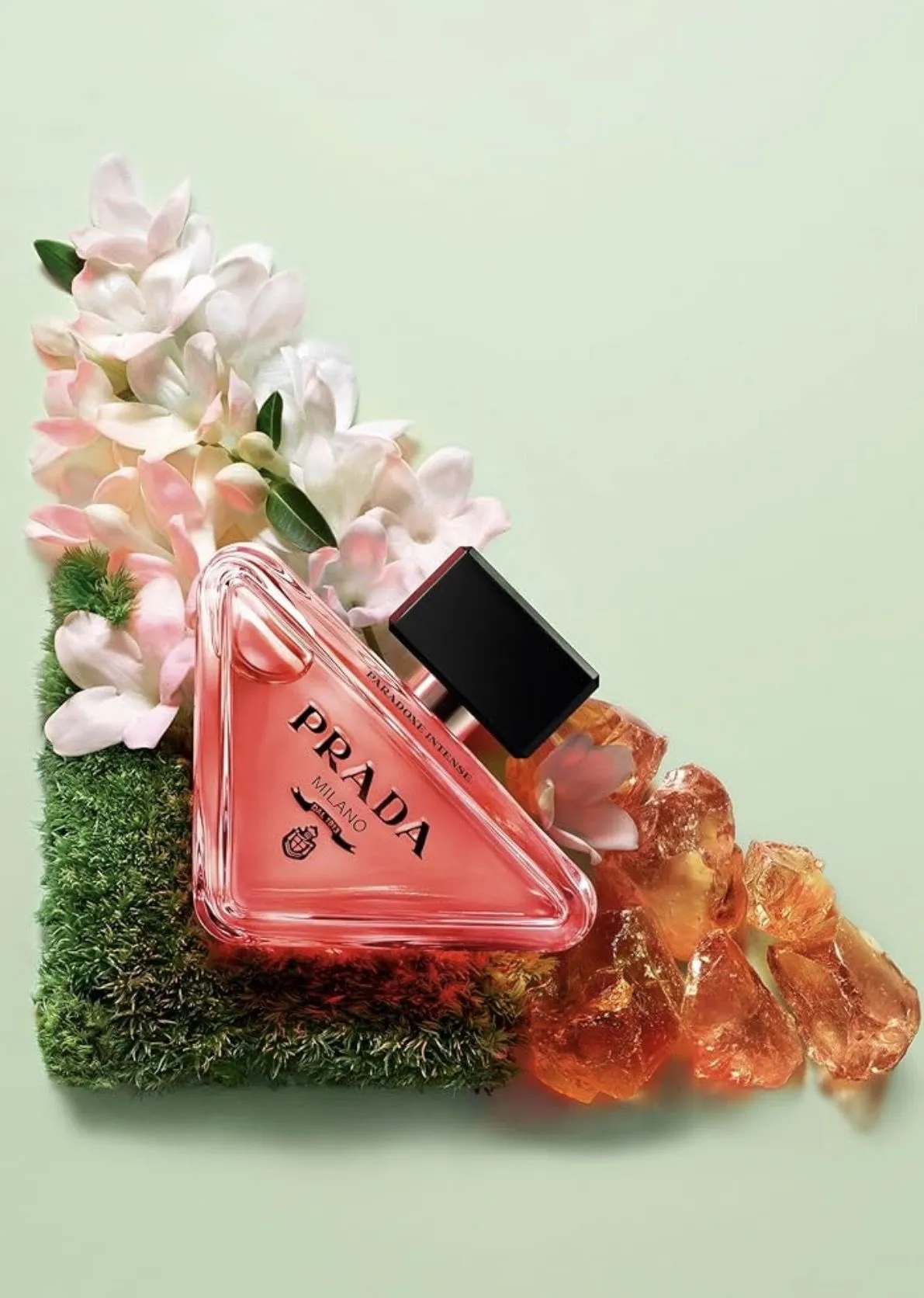 Prada paradox EDP