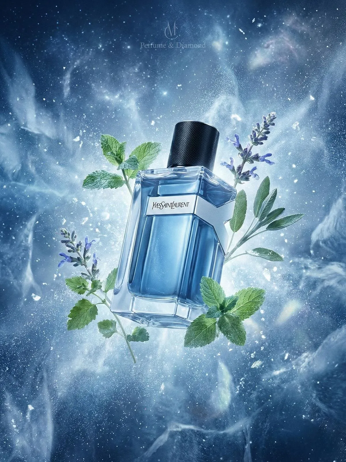 YSL Iced Cologne — YSL
