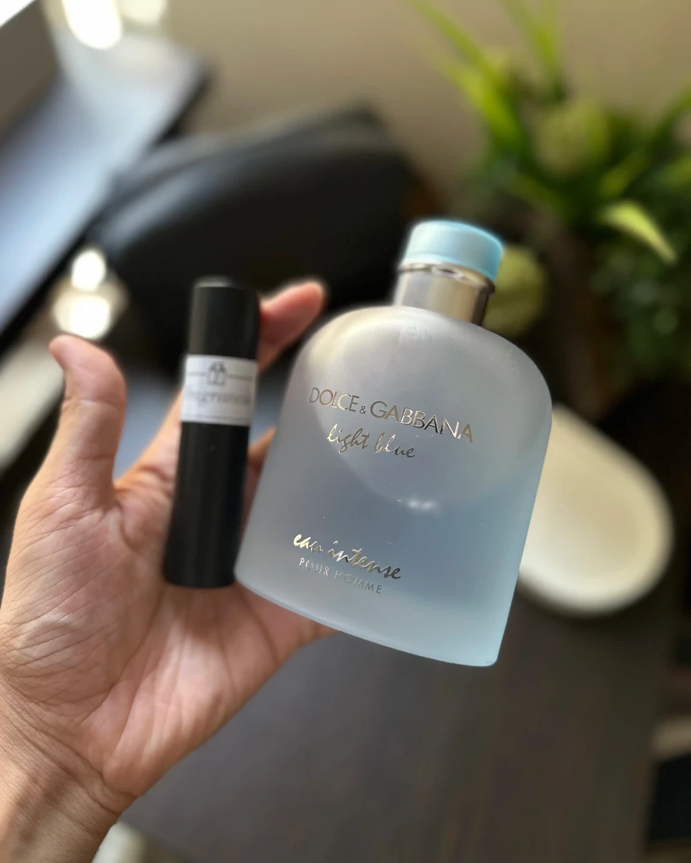 Dolce & Gabbana Light Blue intense